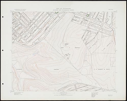 Sheet No. 81