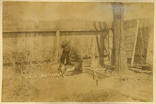 Sowing Seeds