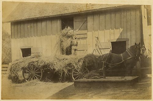 Hay Season