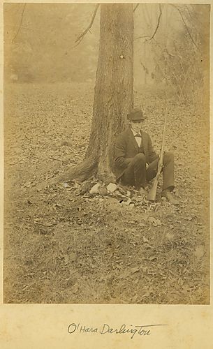 After the Hunt