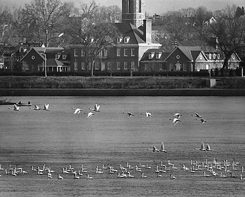 River view of Governor's Home