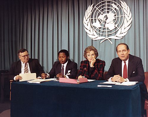 Panel of participants of the UN Committee on Social, Humanitarian, and Cultural Matters
