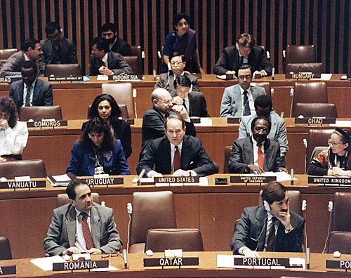 Thornburgh speaking before the UN Committee on Social, Humanitarian, and Cultural Matters