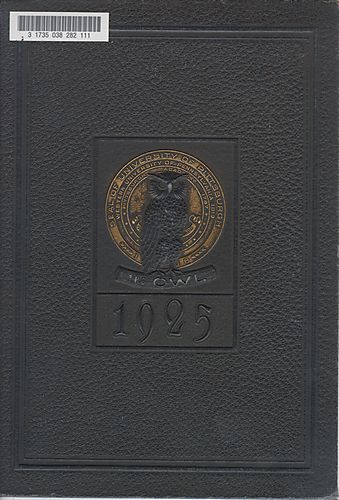 Owl (University of Pittsburgh)