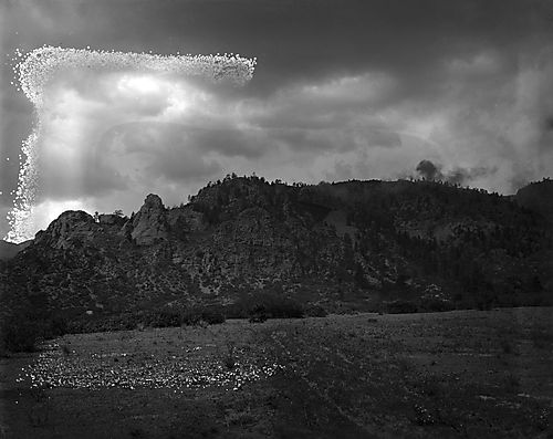 Hills Covered with Trees