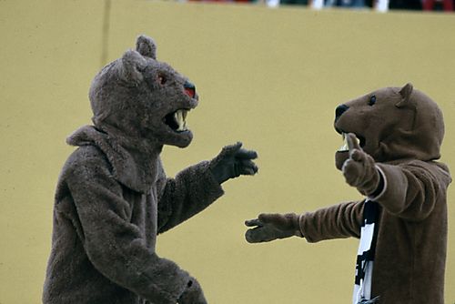 Pitt Panther and Penn State Nittany Lion