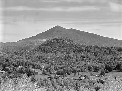 Unidentified Landscape