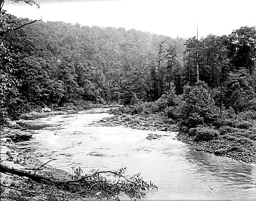 Stonycreek River