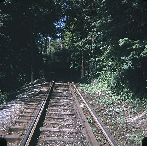 Looking Up from Drake