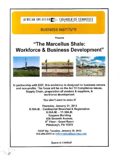 The Marcellus Shale-Flyer