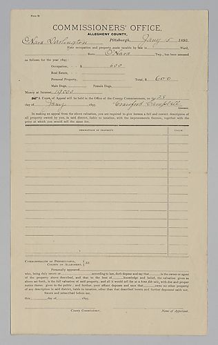 O'Hara Darlington, Taxes