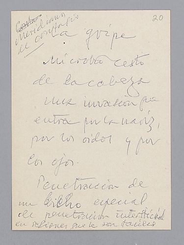 Loose Greguería Notes and Unidentified Fragments