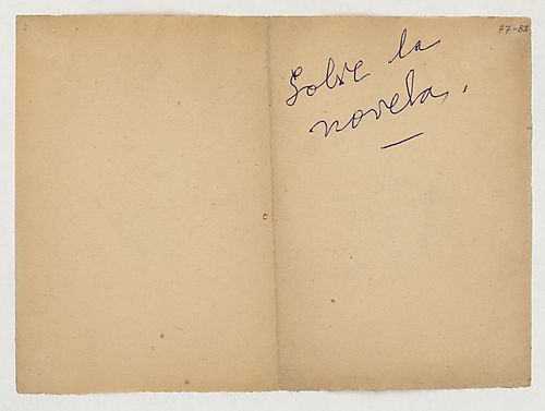 "Sobre la Novela"