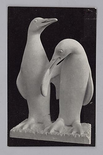 Animal Photo Clippings