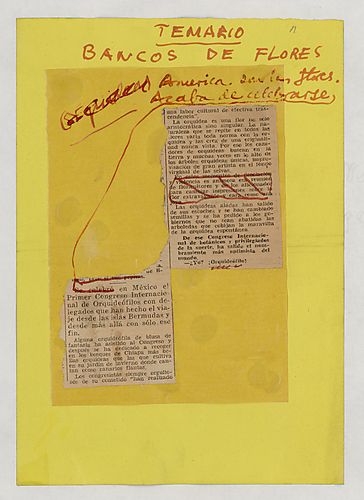 "Temario: 'Bancos de flores'": Manuscripts and Clippings