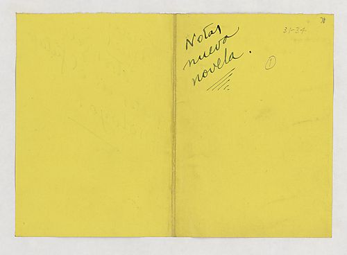 "Notas para una nueva novela"