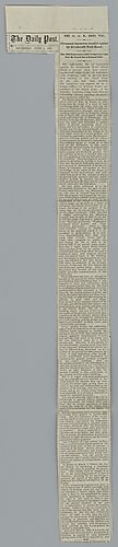 Article, The Daily Post