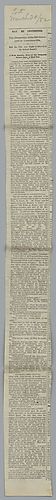 Article, The Daily Post