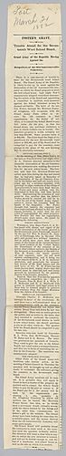 Article, The Daily Post