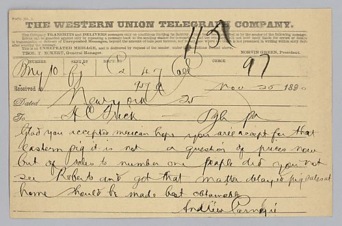 Carnegie writes to advise selling pig iron to eastern companies and to congratulate Frick on accepting Mexican business. In handwritten post-scripts, Carnegie suggests sales to Cleveland Belt of Quincy second rails and asks about "Mr. N's" requirements