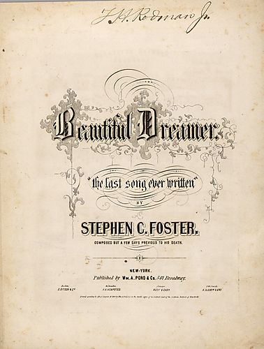 Beautiful dreamer
