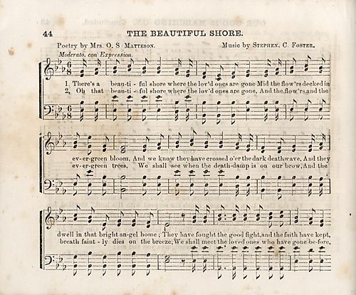 Waters' golden harp