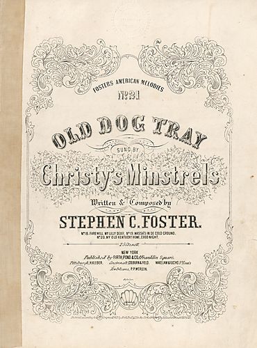 Old dog Tray