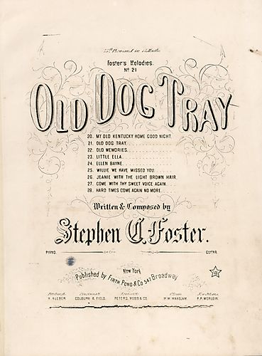 Old dog Tray