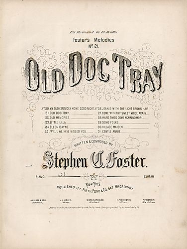 Old dog Tray