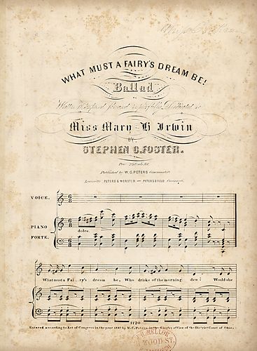 What must a fairy's dream be?