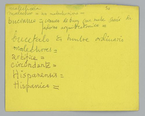Dictionary Cards, 2-sided