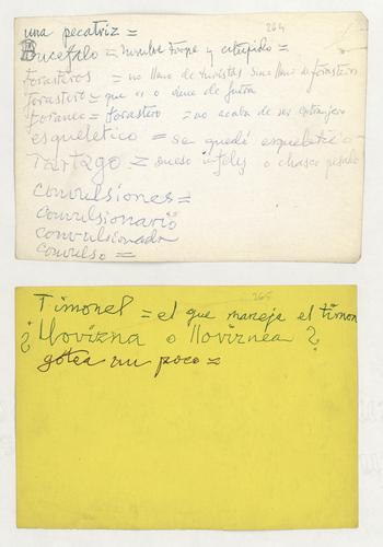 Dictionary Cards, 1-sided