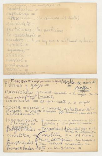 Dictionary Cards, 1-sided