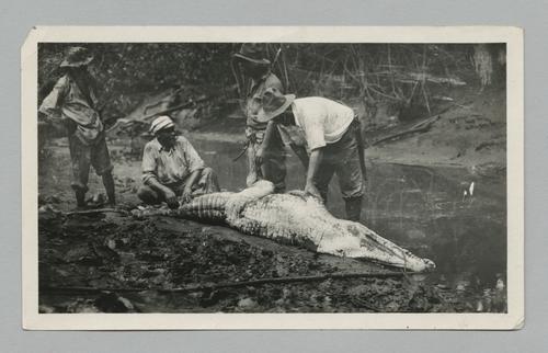 "Rex Beach and one of his specimens from Colombia"