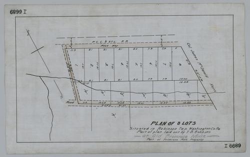 Plan of 8 lots part of Primrose Mine property