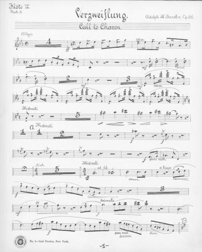 Opus 51 Verzweiflung: 2nd flute