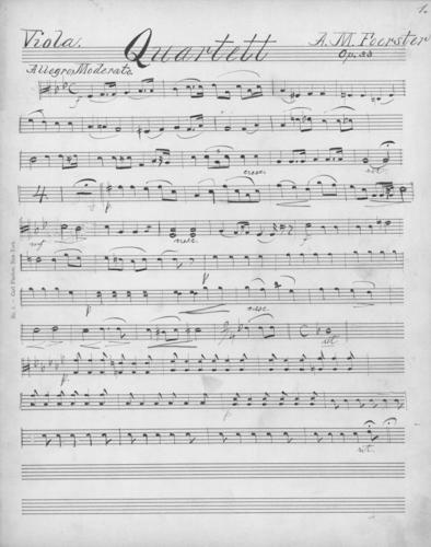 Opus 33 Quartet: viola