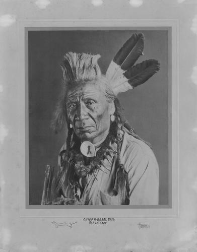 Weasel Tail, Chief of the Blackfoot