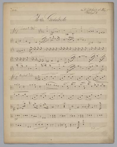 In der Gartenlaube : No. 3 - Parts: Viola