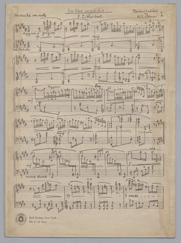 In the Woods : [for Piano : in B major]