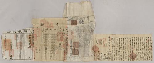 Seller: 游振梅 [pin yin] -- Buyer: 楊坤貞 [pin yin] -- Place: 福建省閩縣 [Fujian Sheng Min Xian] -- Personal