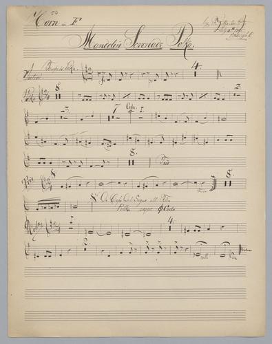 Mandolin Serenade Polka - Parts: Horn