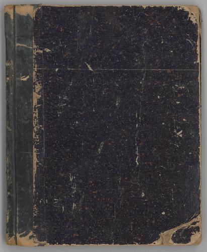 American Party Minute Book