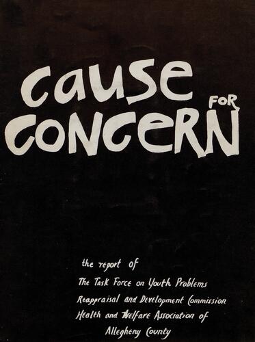 Cause for Concern, The Report of the Task Force on Youth Problems Reappraisal and Development Commission