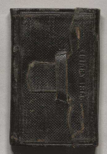Daily Diary, 1866
