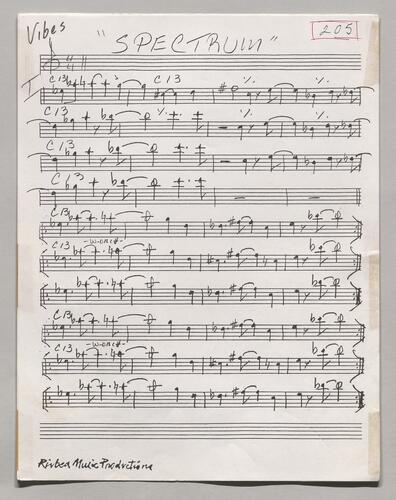 205 Spectrum Vibes