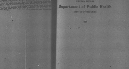 Department of Public Health Annual Report, 1915