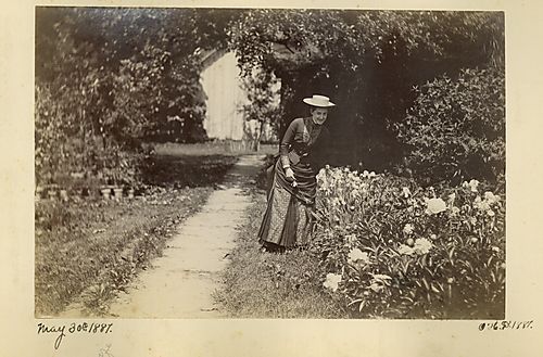 Garden Walk