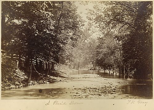A Placid Stream