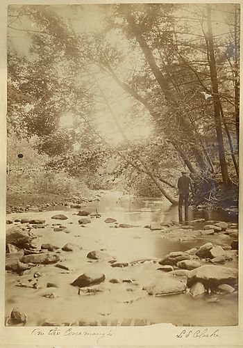 On the Conemaugh